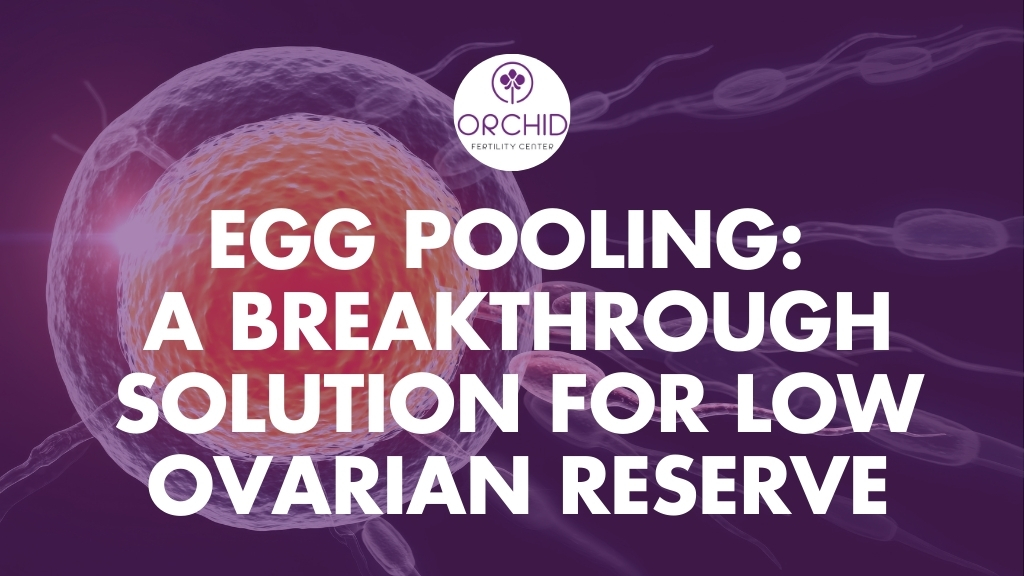 Egg Pooling A Breakthrough Solution for Low Ovarian Reserve-Orchid IVF Kolhapur
